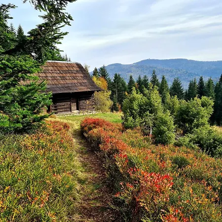 Forest House Lodge