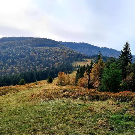 Lodge Forest House Lubomierz (Lesser Poland)